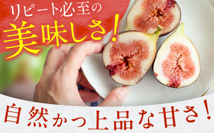 とよみつひめ