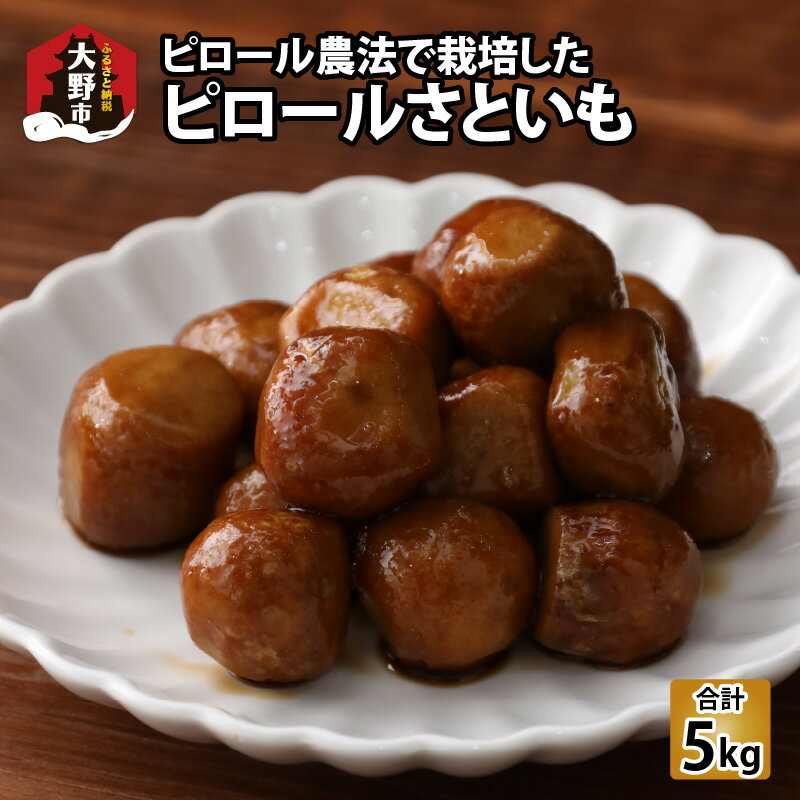 【ふるさと納税】【先行予約】【ピロールさといも】ピロール農法で栽培した奥越のさといも5kg【12月20日までのご寄付で年内お届け】 | 弱アルカリ性 ミネラル 送料無料 [A-071003]