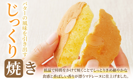 老舗菓子舗のマドレーヌ計8個【焼き菓子 スイーツ 詰め合わせ 洋菓子】_T035-001【人気 ギフト マドレーヌ 贈り物 マドレーヌ お土産 マドレーヌ デザート  マドレーヌ 送料無料 マドレーヌ