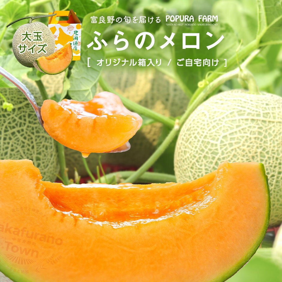 【ふるさと納税】【2025年発送】【ポプラファーム】メロン（2kg以上　秀品　大玉1玉）