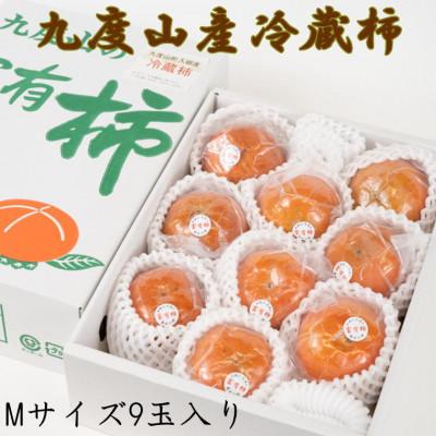 ふるさと納税 新宮市 【まごころ栽培】九度山の冷蔵富有柿Mサイズ9玉入り(新宮市)