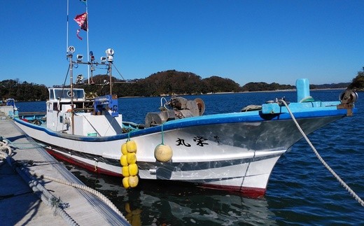 【浦戸 寒風沢島】生牡蠣500g～1kg（加熱用）