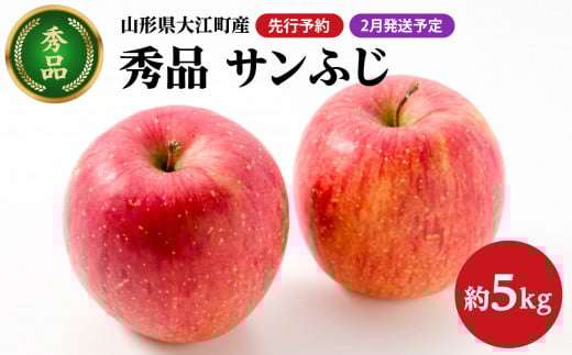 《先行予約》【2月発送予定】 サンふじ約5kg・秀品【大江町産・山形りんご・大地農産】【028-030】