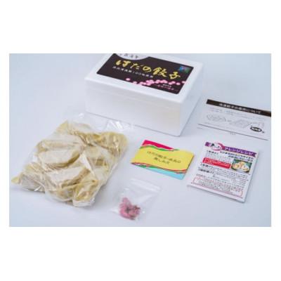 ふるさと納税 秦野市 秦野産門倉ポーク使用★ジューシー!菖蒲庵謹製はだの餃子 |  | 01