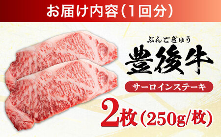 【全3回定期便】おおいた豊後牛 サーロインステーキ 500g (250g×2枚) 日田市 / 株式会社MEAT PLUS　肉 牛肉 和牛[AREI056]