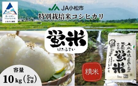 【先行予約】 令和8年産 特別栽培米 コシヒカリ 10kg（5kg×2袋）蛍米 精米 特別栽培米【JA小松市】 ag005m02