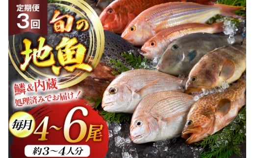 魚 海鮮 朝獲れ 地魚 詰合せ 4～6尾/回 3回 定期便 [平戸瀬戸市場 長崎県 平戸市 hr42bgy420373] さかな 詰め合わせ 鮮魚