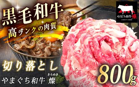数量限定！選べる 極上牛肉 やまぐち和牛 燦 ( きらめき ) 切り落とし 800g