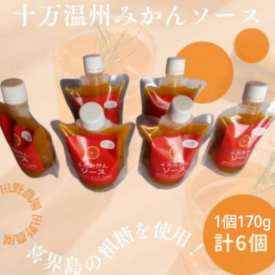 ふるさと納税 さつま町 十万みかんソース(計6本・1本170g)