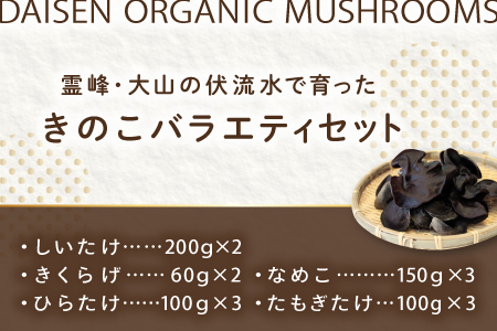 HO03：鳥取県産オーガニックきのこバラエティセット