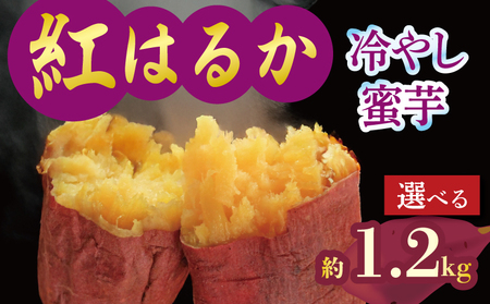 焼き芋 蜜芋 冷蔵 紅はるか 約1.2kg 配送：11月下旬～