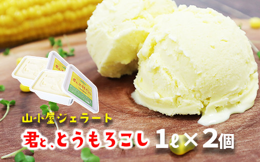 山小屋ジェラート「君と、とうもろこし」1000ml×2  濃厚ミルク デザート 牛乳100％ 贅沢アイス ご当地アイス 人気ジェラート カップアイス ご褒美 とうもろこし 不二家乳業 岩手県産牛乳