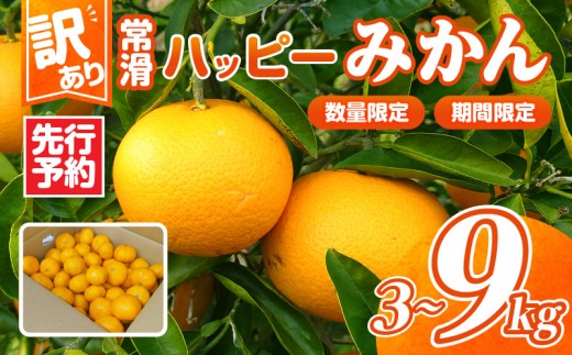 
                  【先行予約】【訳あり】常滑ハッピーみかん 【選べる容量】3kg～9kg｜常滑ハッピーみかん 果物 みかん フルーツ ミカン 訳あり 数量限定 期間限定 愛知県 常滑市 知多半島
                