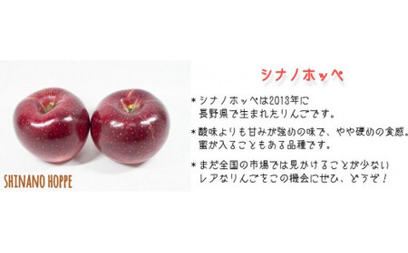りんご シナノホッペ 家庭用 5kg ファームトヤ 沖縄県への配送不可 2025年11月上旬頃から2025年11月下旬頃まで順次発送予定 令和7年度収穫分 信州 果物 フルーツ リンゴ 林檎 長野 予