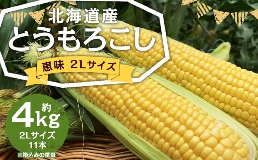 北海道産 とうもろこし 恵味 2Lサイズ 11本 約4kg 1箱 国産 冷蔵 【2026年8月上旬-8月下旬迄発送予定】