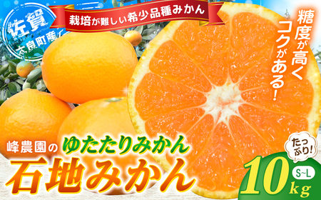 峰農園のゆたたりみかん【石地みかん】10kg　フルーツ 果物 くだもの 柑橘 みかん ミカン 蜜柑 たらみかん 太良みかん 温州みかん 完熟みかん 希少品種 石地みかん 甘熟 早熟 ミネラル豊富 多良岳山系の水 有明海の潮風 国産 こだわり 有機栽培 産地直送 贈答品 お中元 お歳暮 詰め合わせ 極甘 佐賀県 太良町 NB14