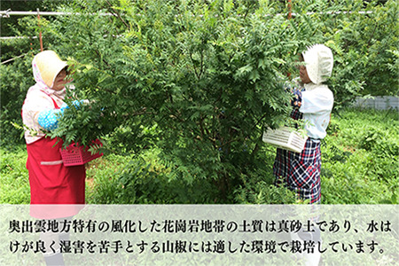 ジャコ 奥出雲山椒ジャコみそ6個セット[AIAF003] 