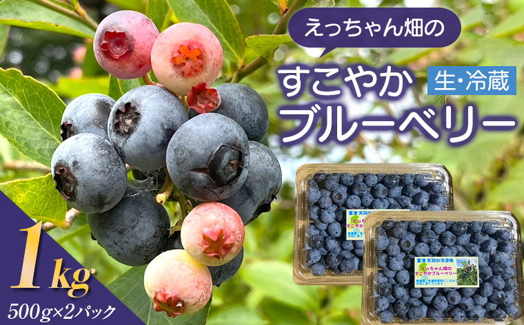 
                  えっちゃん畑のすこやかブルーベリー 1kg（500g×2パック／生・冷蔵）
                