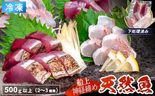 船上 神経締め 天然 鮮魚 詰め合わせ 朝獲れ直送 下処理済み 2~3種入り 500g以上 （2026年2月出荷） 冷凍 刺身 魚種お任せ 水揚げ 海鮮 魚介 産地直送 新鮮 魚 鮮魚ボックス