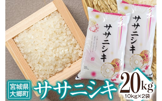 
										
										令和6年産 ササニシキ 20kg(10kg×2袋)｜2024年 宮城産 大郷町 白米 米 コメ 精米 [0212]
									