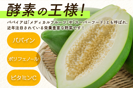 青パパイヤ 5kgセット 酵素の王様・健康万能野菜 パパイア王子厳選 宮崎県産【B686】