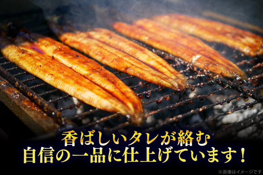 うなぎ 蒲焼 特大サイズ 肉厚 約 1.5kg 4尾 タレ・山椒付 茶葉蒸し [大黒物産 福岡県 宇美町 um40bak830002] 鰻 ウナギ 小分け うなぎ蒲焼 鰻蒲焼き 訳あり 蒲焼き かば焼