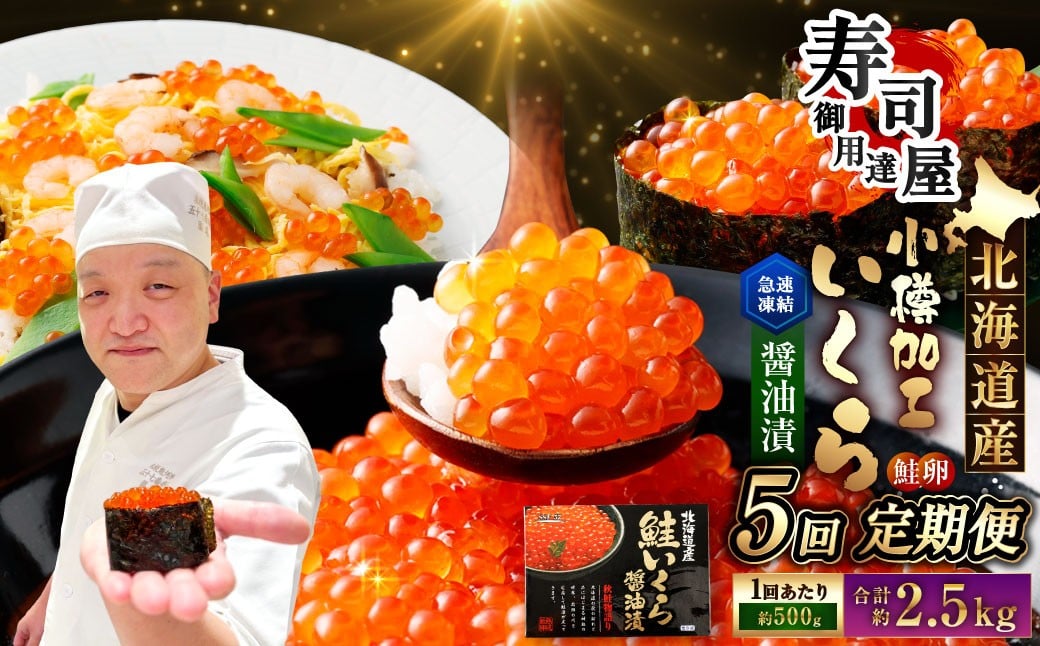 
            【5回定期便】 北海道加工 いくら醤油漬 約500g（約250g×2パック）×5回 計約2.5kg いくら醤油漬け いくら イクラ 醤油漬 醤油漬け 冷凍
          