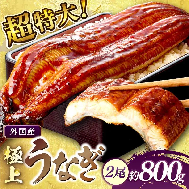 【鰻】うなぎ蒲焼き 2尾 合計800g前後 | うなぎ
