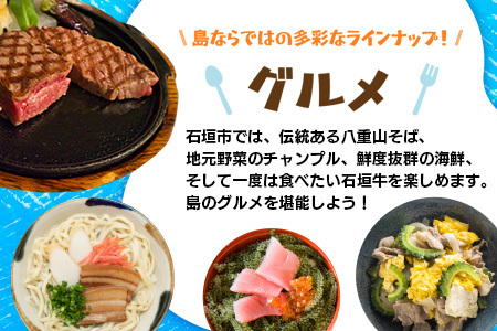 HISの沖縄県石垣市の対象ツアーに使えるふるさと納税クーポン券30,000円分 HS-4