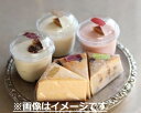 【ふるさと納税】カフェ百時チーズケーキ6色アソートセット【お中元対応可】