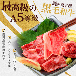 牛刺し A5等級 鹿児島県産 黒毛和牛 牛刺し 2種盛 300g IB112-007 