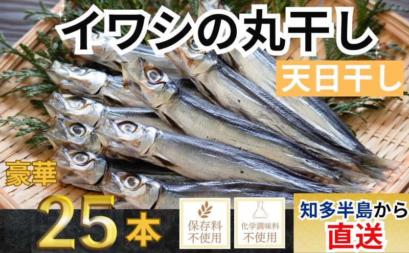 
                  ＜大好評!＞脂の乗ったいわしの丸干し 25本セット いわし 干物 夕食 晩ごはん 料理 簡単料理 調理 お手軽 コメ に合う お米に合う 南知多 愛知
                