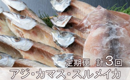 【定期便】いずま海産の黒潮干物11枚頒布会【3回お届け】干物