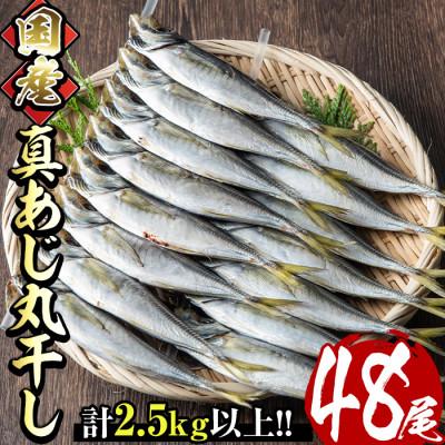 ふるさと納税 門川町 国産真あじ丸干し48尾セット(16尾×3箱・計2.5kg以上)