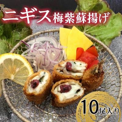 ふるさと納税 浜田市 ニギス梅紫蘇揚げ　2尾入×5パック
