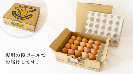 枝さんちのたまご(M～L20個) 産地直送 餌にこだわり 平飼いでのびのび育った卵 卵 非遺伝子組換え 7000 [BT001sa]