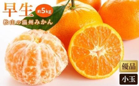 【先行予約】【2025年11月中旬から発送予定】温州みかん「早生」 家庭用(優品)・小玉 約5kg （ 愛媛産 愛媛県産 国産 愛媛みかん 愛媛蜜柑 愛媛ミカン みかん ミカン mikan 蜜柑 柑橘 フルーツ 果物 くだもの お取り寄せ 産地直送 数量限定 人気 おすすめ 愛媛県 松山市 送料無料 ）【KK0521】