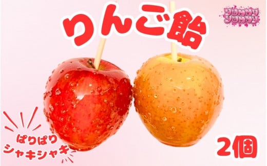 りんご飴 2個／和歌山 田辺市 スイーツ お菓子 デザート りんご飴 りんご リンゴ