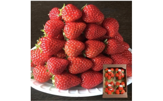 《300g×4パック》贈答用いちご1200g　2品種以上入ります。【1686323】