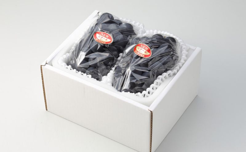 【2027年先行予約】岡山県産 ニューピオーネ 約500g×2房 約1kg | フルーツ 果物 くだもの ぶどう ブドウ ニューピオーネ 国産 岡山県産 食品 人気 おすすめ ギフト 贈り物 贈答品 