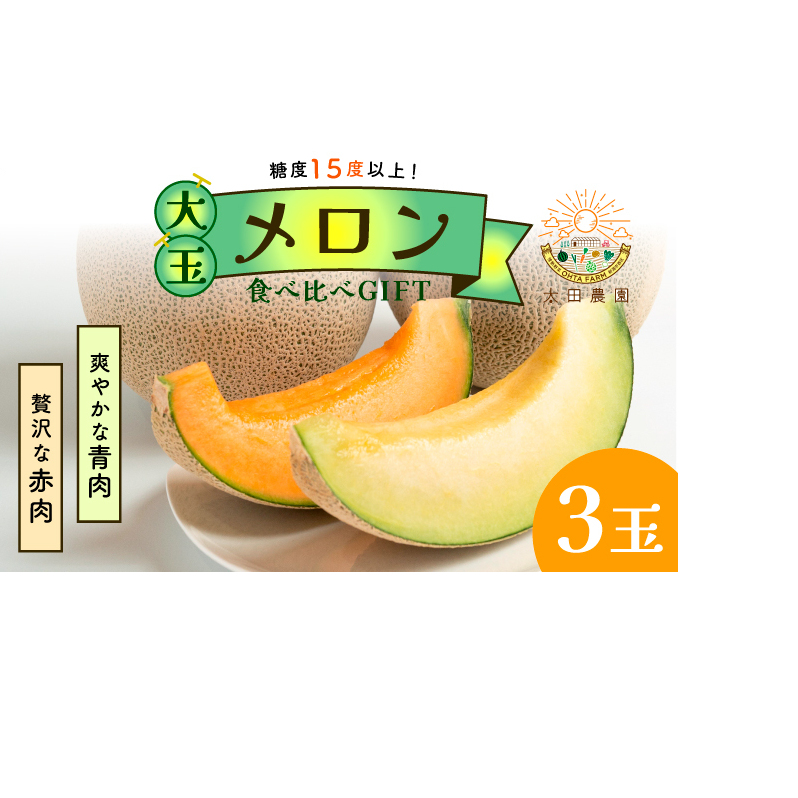 太田農園メロン“GIFT”赤肉メロン＆青肉メロンセット（合計3玉） 2025年 先行予約 メロン セット 糖度 赤肉 青肉  高級 果物 フルーツ おやつ デザート 新潟 夏フルーツ 