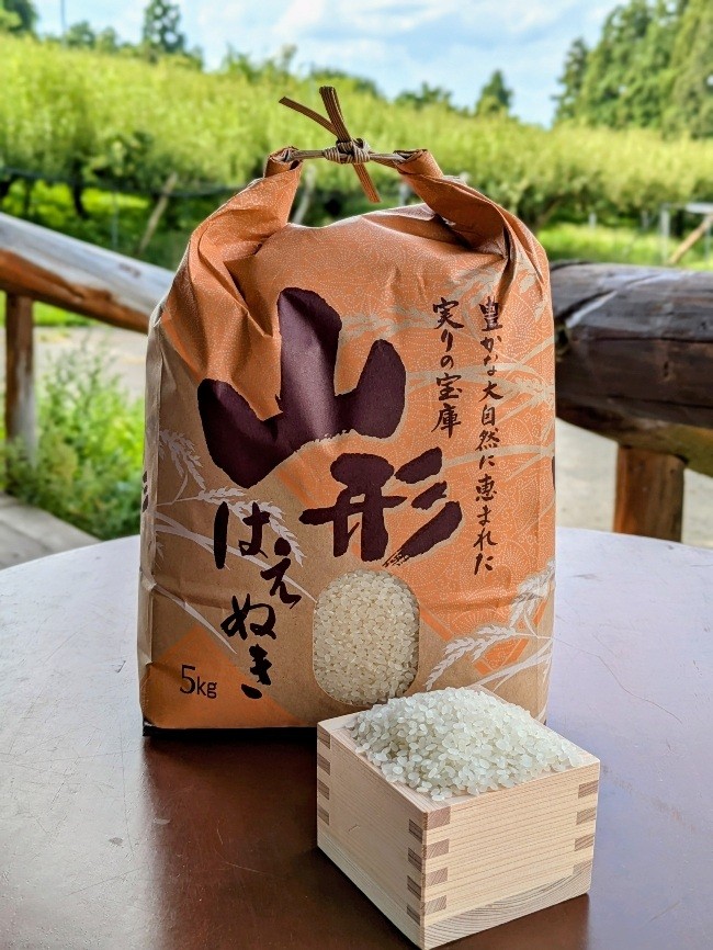 
                  ＜２０２６年１０月～発送＞【定期便】令和８年産　はえぬき（精米）５ｋｇ×６か月連続お届け　0011-2609
                