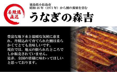 特上うなぎ 蒲焼 国産 2尾 約320g うなぎ