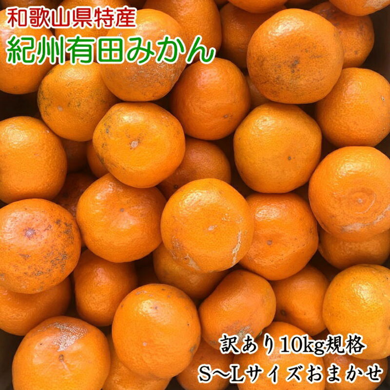 【ふるさと納税】【限定】 【訳あり】 和歌山 有田みかん 10kg (S～Lサイズいずれかお届け) 【ミカン 蜜柑 柑橘 温州みかん 有田みかん】