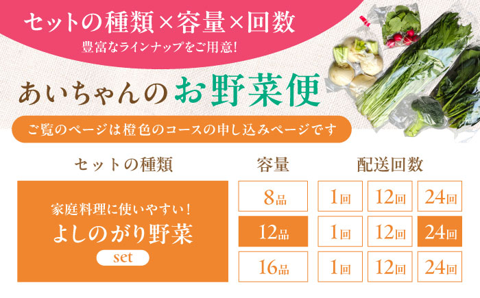 【12品 / 24回定期便】農薬に頼らない！カラダにやさしい「よしのがり野菜」セット（レギュラー）【吉野ヶ里あいちゃん農園】 [FAA007]