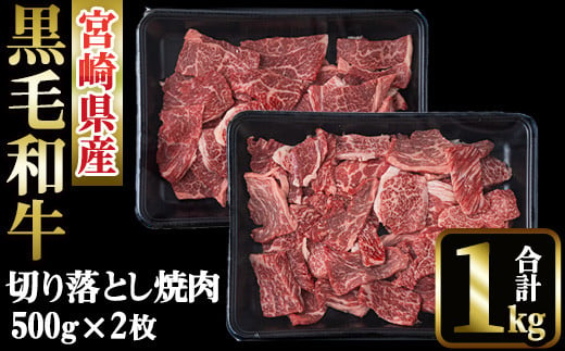 宮崎県産 黒毛和牛 切落し 焼肉(計1kg・500g×2)【MI019】【(株)ミヤチク宮崎加工センター】