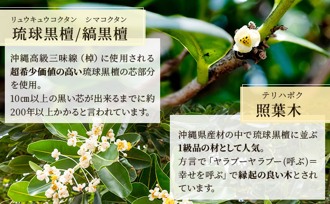 おきなわの木の木軸ペン（ノック式タイプ）｜ペン ボールペン 木 木軸 木材 木軸ペン 特別 受注生産 職人 手作り ツイスト式 文具 文房具 筆記用具 沖縄 沖縄県 豊見城市 CL009