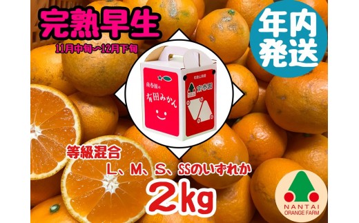 
                  年内発送 等級混合 完熟早生 有田 みかん L ～ SS サイズ 2kg 南泰園 和歌山 有田みかん
                