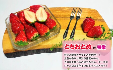 旬のいちご定期便 とちおとめ やよいひめ 4か月 毎月 約1000g 【先行予約】