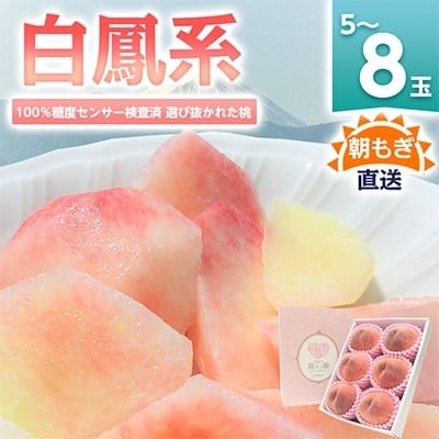 
            桃 『白鳳系』 約2kg 5～8玉 朝もぎ直送! 選び抜かれた桃【1275881】
          